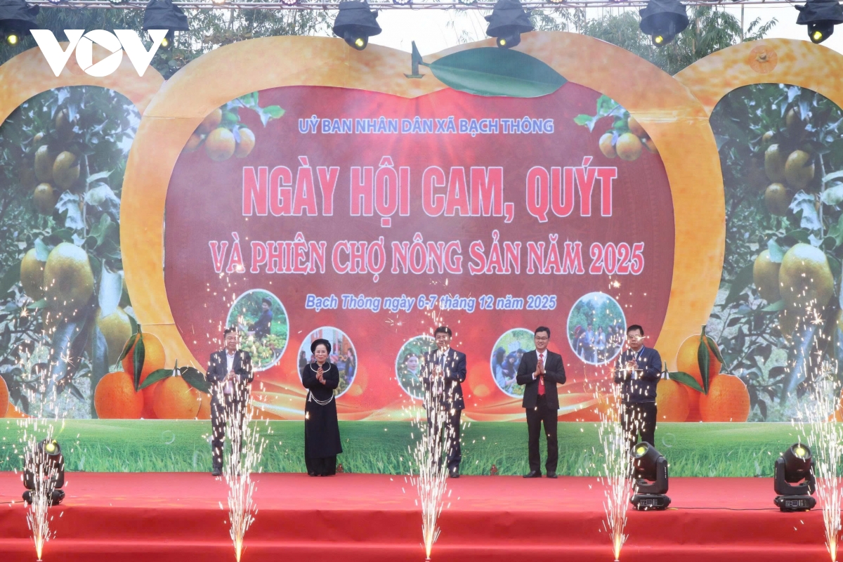 Sôi nổi Ngày hội Cam quýt ở vùng cao Thái Nguyên